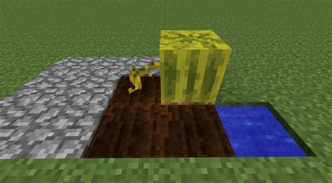 Melon and Pumpkin Growth - Minecraft Tutorial