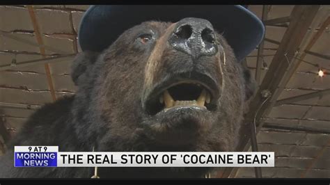 Cocaine Bear - NycolaHauraa