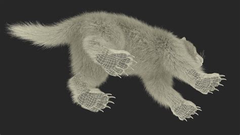 3D Wolverine Dark Color Fur - TurboSquid 2127770