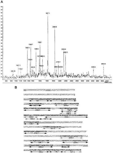 MALDI-TOF mass spectrometry analysis. Panel A, MALDI-TOF mass spectrum ...