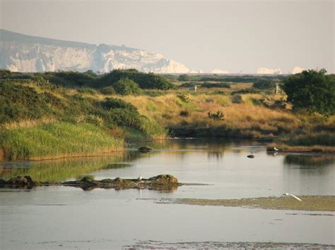 Solent sunset Free Photo Download | FreeImages