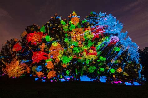 Illumination at Morton Arboretum: Chicago Attractions Review - 10Best Experts and Tourist Reviews