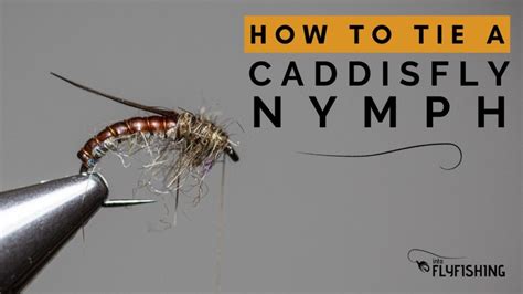 How To Tie A Caddis Nymph (Step-By-Step With Video) - Into Fly Fishing