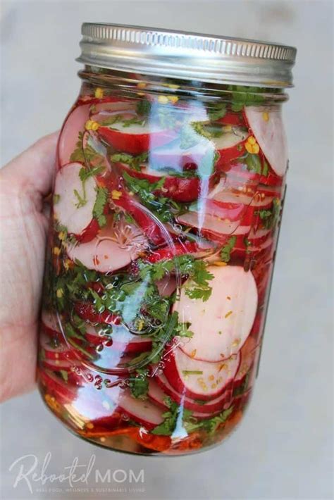 19 Pickled Vegetable Recipes Anyone Can Make - An Unblurred Lady | Pickled radishes, Pickling ...