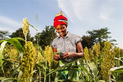 Smart Agribusiness in Kenya - Paukwa