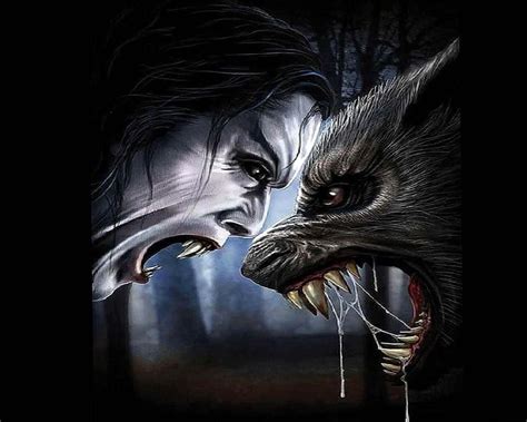 Vampire Vs Werewolf Wallpapers - Wolf Background Images