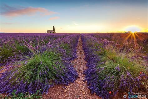 Sunrise in Provence | Sunrise, Provence, Sunrise sunset