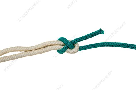 Sheet bend knot - Stock Image - F034/2744 - Science Photo Library