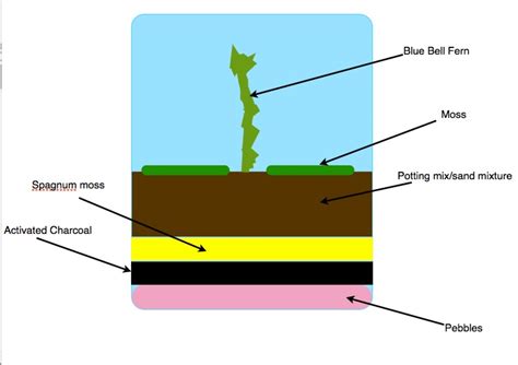 Designing the Mesocosm - Mesocosm