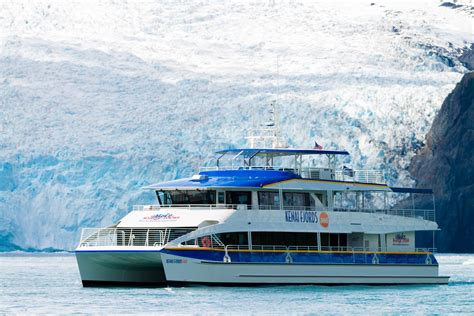 Kenai Fjords National Park Glacier & Wildlife Cruise