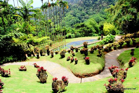 Un jardin extraordinaire ... [Le jardin de Balata en Martinique ...