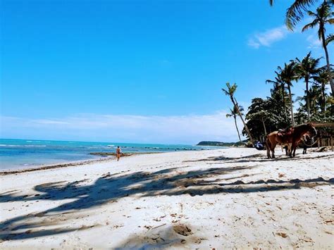 Praia do Espelho (Trancoso) - ATUALIZADO 2020 O que saber antes de ir ...