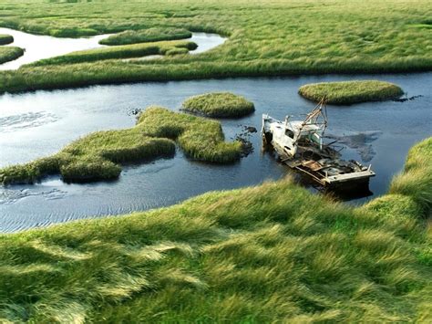 Everglades National Park, Florida | Travel Channel