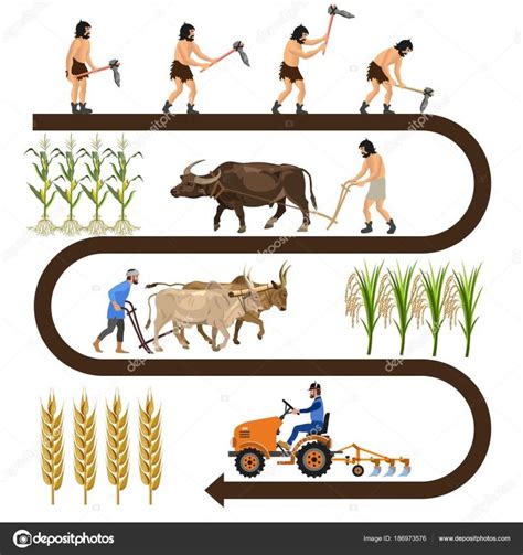 History of modern agriculture in 2020 | History of agriculture, Plant ...