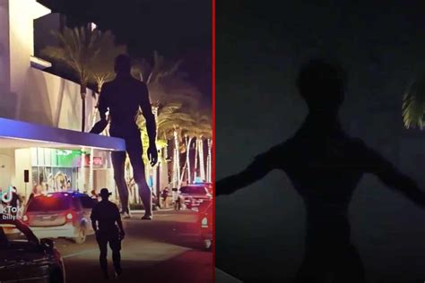 Miami mall alien sighting was a hoax, police confirm - Swisher Post