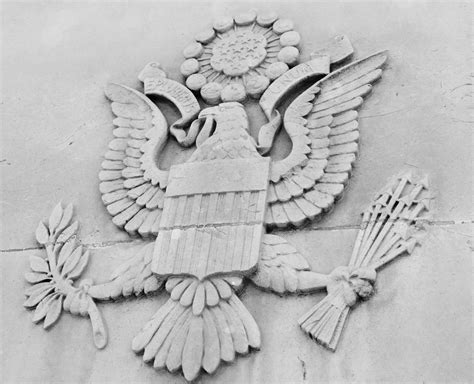 Great Seal Of The United States Free Stock Photo - Public Domain Pictures