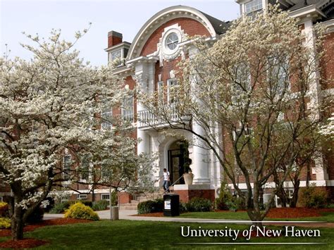 One of our most picturesque campus buildings! | University, New haven, Interdisciplinary