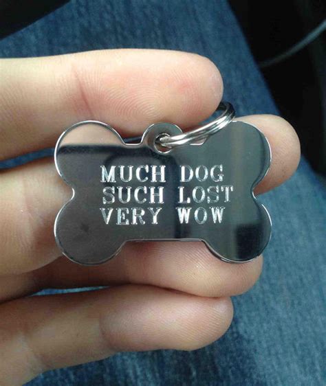 Dog Tags are Always Useful and Sometimes Hilarious (13 Pics) » TwistedSifter