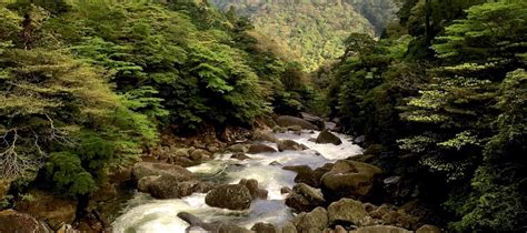 JOMON SUGI 1280m – YAKUSHIMA EXPERIENCE