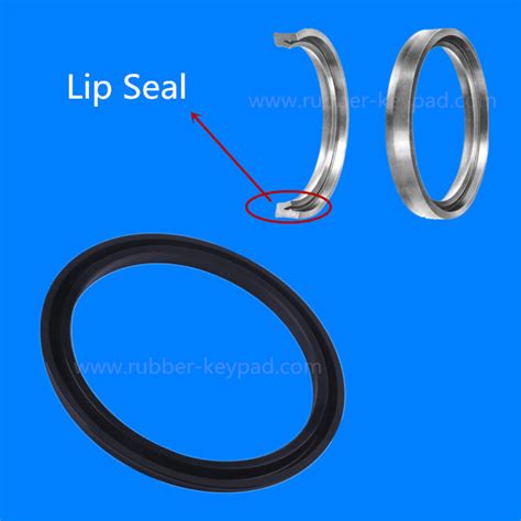 Silicone Rubber Lip Seals from China manufacturer - Xiamen Better Silicone Co., Ltd