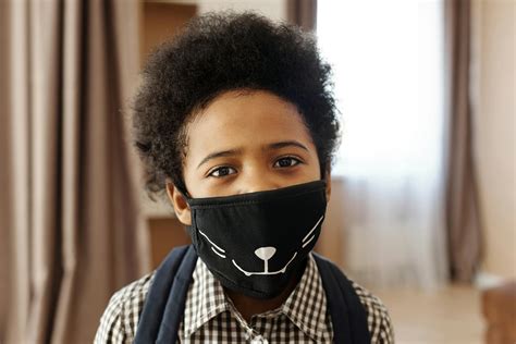 Little Boy Wearing a Face Mask With a Design · Free Stock Photo