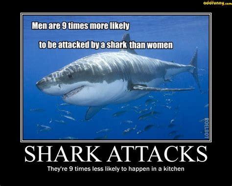 Shark Attack Funny Quotes. QuotesGram