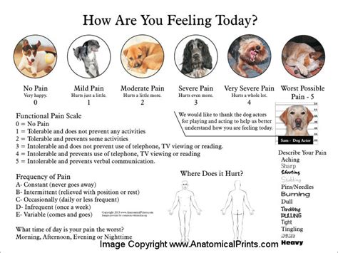 Visual and Functional Pain Scale Poster