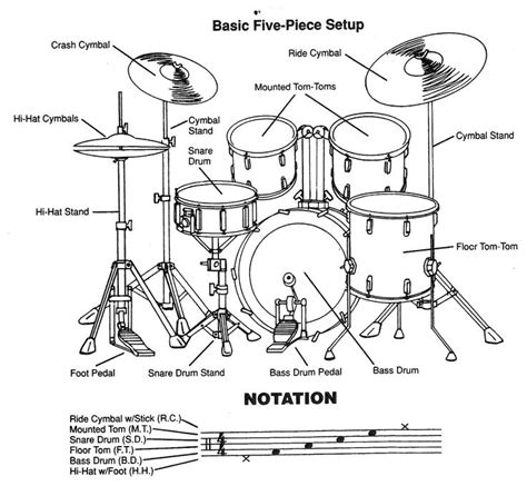 basic five piece drum set, back view | Drum lessons, Drum patterns, Learn drums