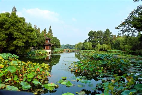 Hangzhou West Lake Beauty Photography Background, West Lake, Hangzhou, West Lake Beauty ...