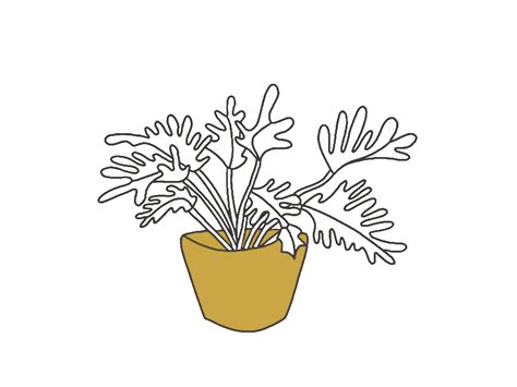 Dribbble - Square_Gif_-_Plant_Growing.gif by Cheech