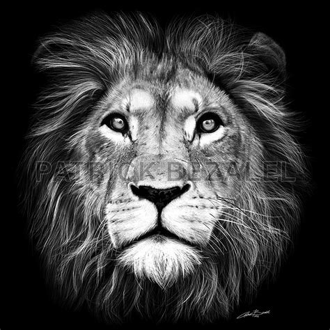 Own Limited Edition Hand-drawn Art Lion of Judah | Patrick Bezalel Fine ...