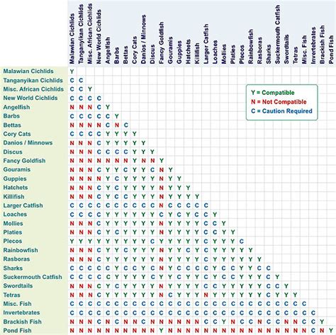 Freshwater Fish Compatibility Chart - Aquarium Connection