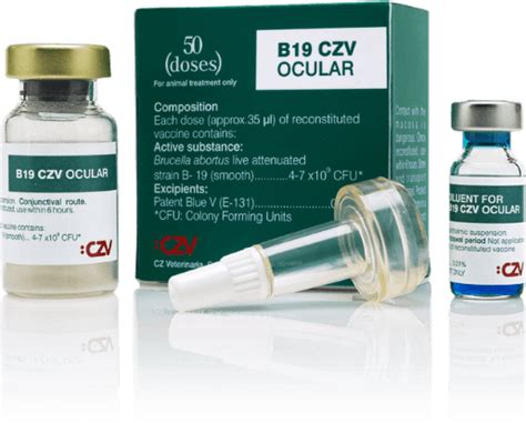 B19 CZV OCULAR - Preventing with Experts