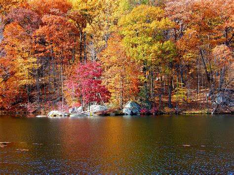 Trees in Color | Fall foliage trips, Valley falls, Rhode island