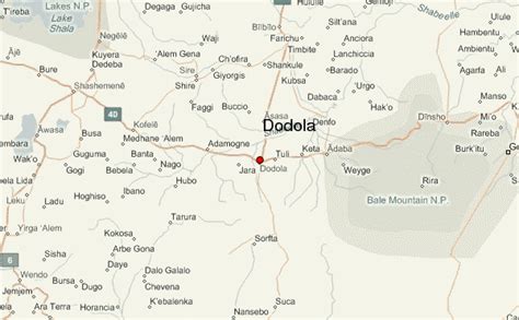 Priests killed in Dodola town of Oromia region - Ethiopia Observer