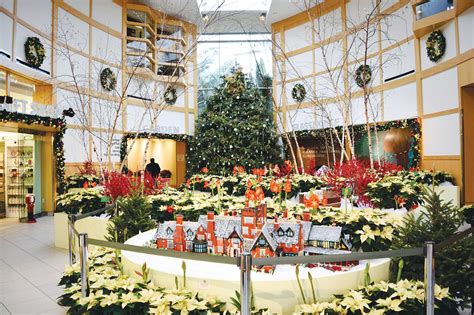 Cleveland Botanical Garden a holiday hotspot – The Observer