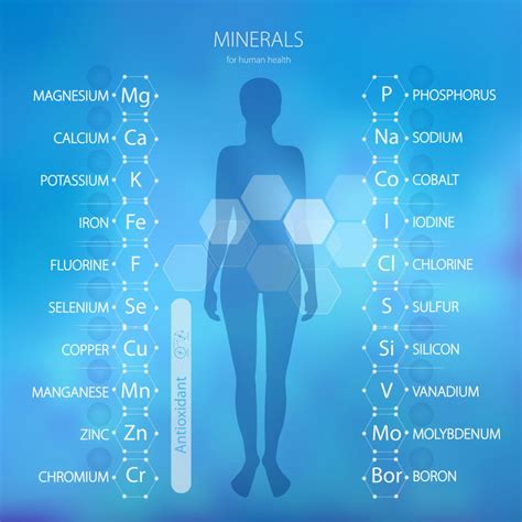 Why Does The Human Body Contain A Variety Of Metals? What Is The Role Of Metal In Our Body ...