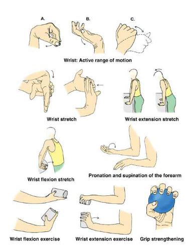 effective wrist exercises stretch grip strengthening | Physical therapy exercises, Hand therapy ...