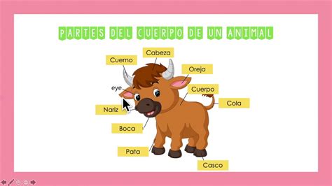 Fichas Identificar Partes Del Cuerpo En Animales 5 Imagenes De | Porn ...