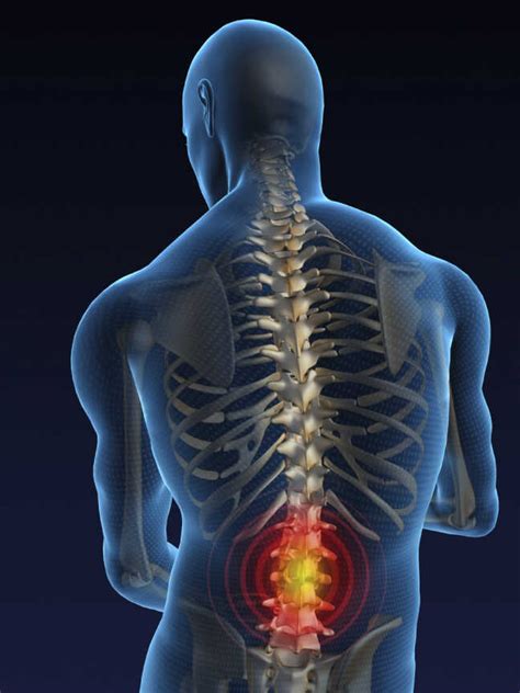 Lower Left Back Pain: Causes, Symptoms, Treatment With Your Charlotte Chiropractor | lupon.gov.ph