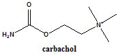 CARBACHOL Synthesis, SAR, MCQ,Structure,Chemical Properties and Therapeutic Uses - Gpatindia ...