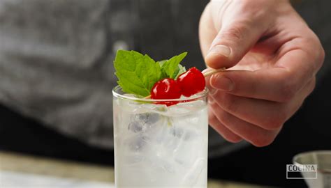 The Mistletoe Cocktail Recipe by Cocina