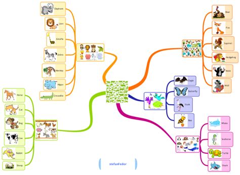 Imindmap Animals Los Animales Mind Map Biggerplate | Porn Sex Picture