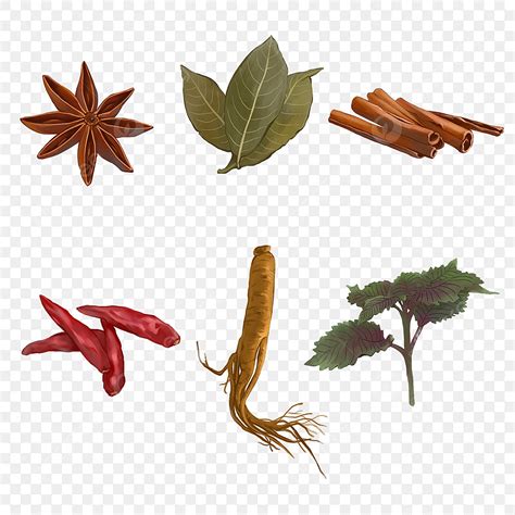 Spices Png, Vector, PSD, and Clipart With Transparent Background for Free Download | Pngtree