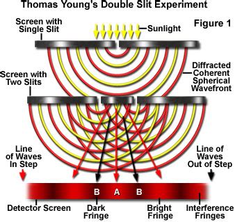 Molecular Expressions Microscopy Primer: Light and Color - Thomas Young's Double Slit Experiment ...