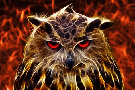 Angry Owl by megaossa on DeviantArt