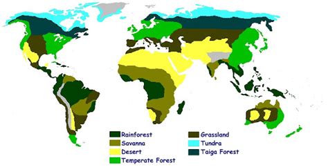 riberabilingual: The Biomes of the World