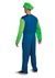 Classic Adult Super Mario Luigi Costume