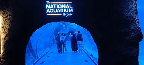 Everything you need to know about National Aquarium Abu Dhabi 2024 ...