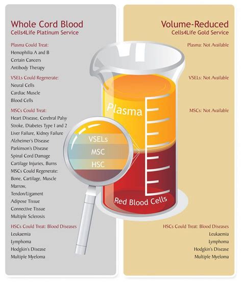 When should I store whole cord blood? Cells4Life offers Platinum and Gold services to give you ...